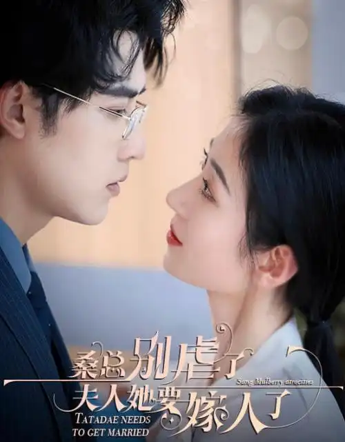 长夜将明 热播电视剧全集手机免费在线观看